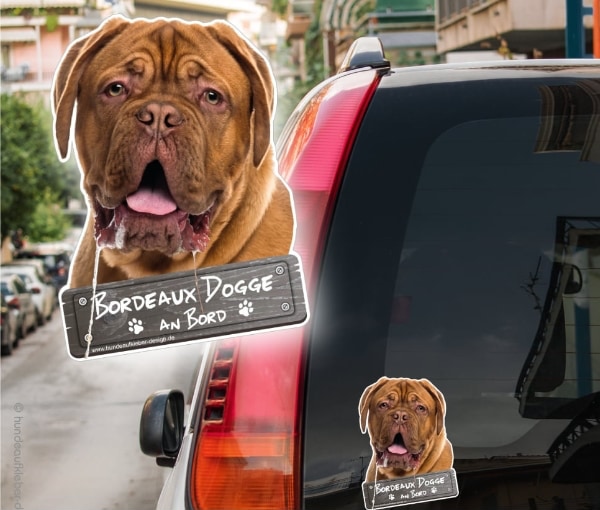 Hunde Autoaufkleber