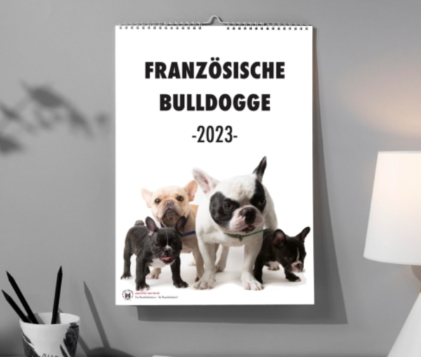 Hundekalender 2023