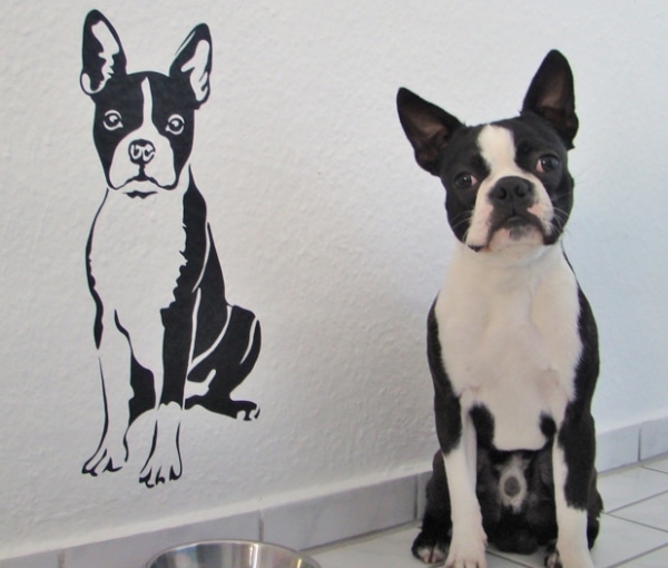 Hunde Wandtattoos