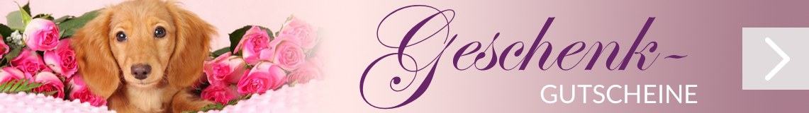 Geschenkgutscheine Hundeaufkleber Shop