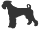 Airedale Terrier Shop