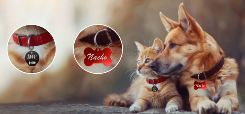 Hundemarke online kaufen