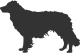 Australian Shepherd Shop