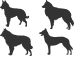 Belgischer Schäferhund Shop