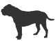 Continental Bulldog Shop
