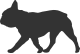 Französische Bulldogge Shop