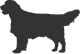 Golden Retriever Shop
