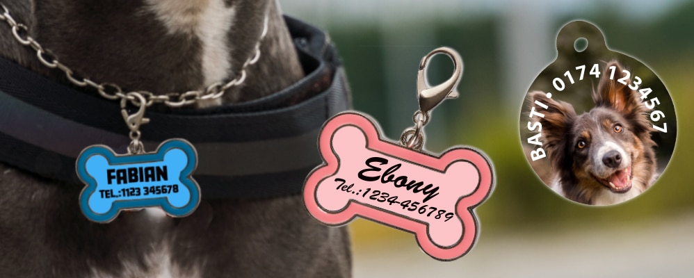 Hundemarke online kaufen
