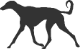 Saluki Aufkleber Shop