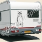 Preview: Siberian Husky Autoaufkleber mit Wunschname