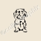Preview: Rauhaar Dackel Hundeaufkleber