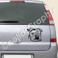 Preview: Englische Bulldogge wandtattoo hunde