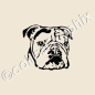 Preview: Englische Bulldogge Autoaufkleber