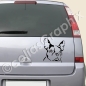 Preview: franzoesische Bulldogge hunde autotattoo