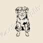 Preview: Australian Shepherd Hundeaufkleber