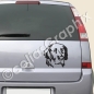 Preview: Flat Coated Retriever autosticker