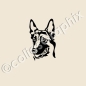 Preview: Malinois aufkleber