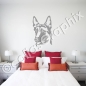 Preview: Malinois wandaufkleber