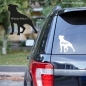 Preview: American Staffordshire Terrier Umriss Autoaufkleber mit Hundename