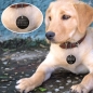 Preview: Hund Halsbandanhänger mit Gravur
