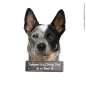 Preview: Australian Cattle Dog an Bord Hundeaufkleber