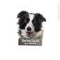 Preview: Border Collie an Bord Hundeaufkleber