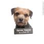 Preview: Border Terrier an Bord Hundeaufkleber