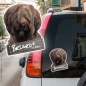 Preview: Briard an Bord Autoaufkleber