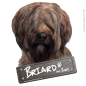 Preview: Briard an Bord Aufkleber