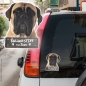 Preview: Bullmastiff an Bord Autoaufkleber