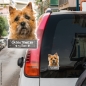 Preview: Cairn Terrier an Bord Autoaufkleber