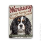 Preview: Cavalier King Charles Spaniel Schild A5