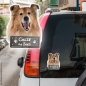 Preview: Collie an Bord Autoaufkleber