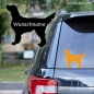 Preview: Gordon Setter Umriss Autoaufkleber mit Hundename