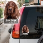 Preview: Irish Setter an Bord Autoaufkleber