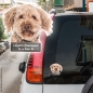 Preview: Lagotto Romagnolo an Bord Autoaufkleber