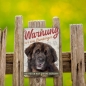 Preview: Leonberger Hundeschild DIN A5