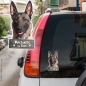 Preview: Malinois an Bord Autoaufkleber