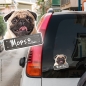 Preview: Mops an Bord Autoaufkleber