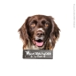 Preview: Münsterländer an Bord Hundeaufkleber