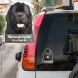 Preview: Neufundländer an Bord Autoaufkleber