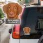 Preview: Nova Scotia Duck Tolling Retriever an Bord Autoaufkleber