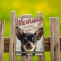 Preview: Prager Rattler Hundeschild DIN A5