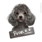 Preview: Pudel an Bord Hundeaufkleber
