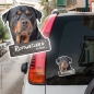 Preview: Rottweiler an Bord Autoaufkleber