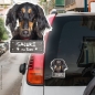 Preview: Saluki an Bord Autoaufkleber