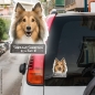 Preview: Shetland Sheepdog an Bord Autoaufkleber