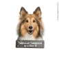 Preview: Shetland Sheepdog an Bord Hundeaufkleber