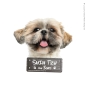 Preview: Shih Tzu an Bord Hundeaufkleber