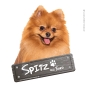 Preview: Spitz an Bord Aufkleber